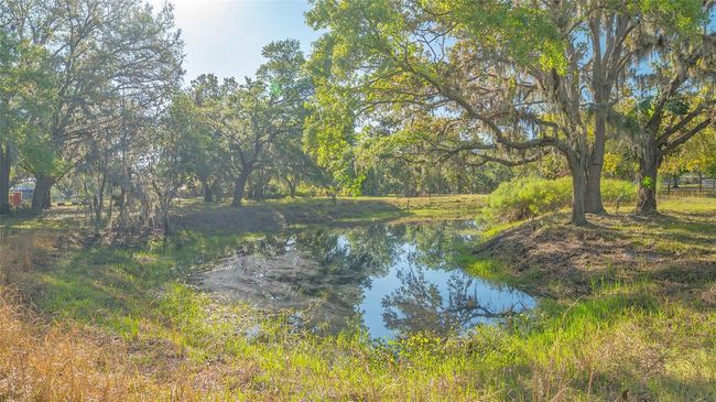 2230 Myakka Rd, House other with 2 bedrooms, 1 bathrooms and null parking in Sarasota FL | Image 52