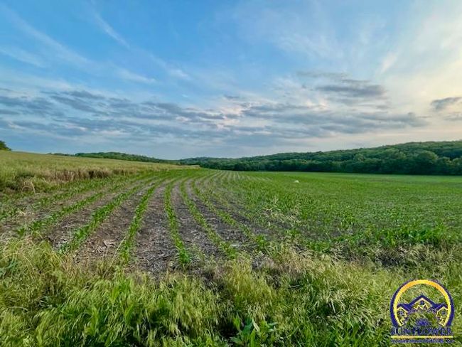 10.01 Acres M/L N 800 Rd, Home with 0 bedrooms, 0 bathrooms and null parking in Baldwin City KS | Image 8