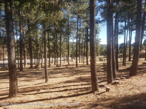 1119 Mechem Dr, Ruidoso, NM, 88345-7203 | Card Image