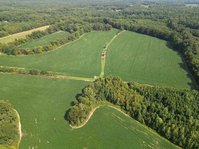 2485 Turner Rd, Home with 0 bedrooms, 0 bathrooms and null parking in Grand Junction TN | Image 20