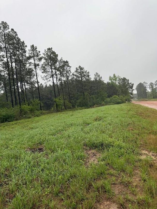 0 Richardson Rd E, Home with 0 bedrooms, 0 bathrooms and null parking in Livingston TX | Image 13