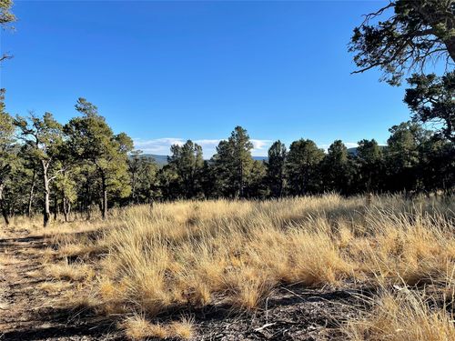 00 Warbler Way, Pecos, NM, 87552 | Card Image