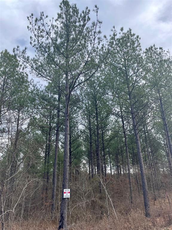 Land in Broken Bow 4
