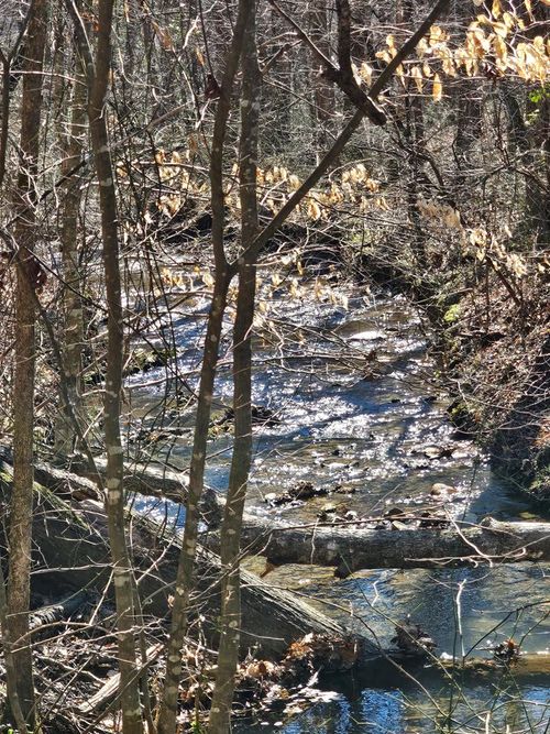 LOT26 Oak Ridge Way, Ellijay, GA, 30536 | Card Image