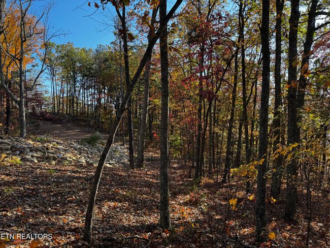 0 Mountain Ash Way, Home with 0 bedrooms, 0 bathrooms and null parking in Sevierville TN | Image 11