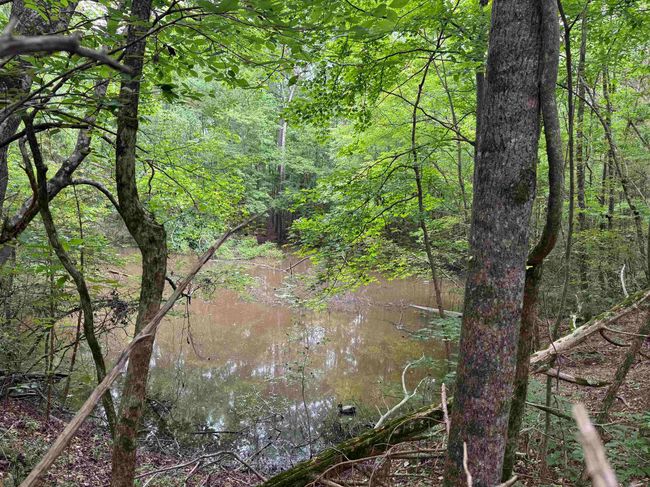 6050 Cross Anchor Rd, House other with 3 bedrooms, 2 bathrooms and null parking in Enoree SC | Image 40