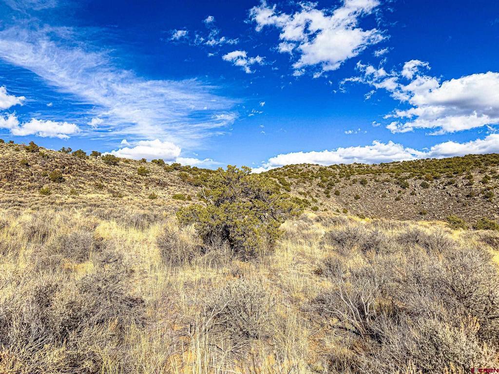 Land in San Luis 2