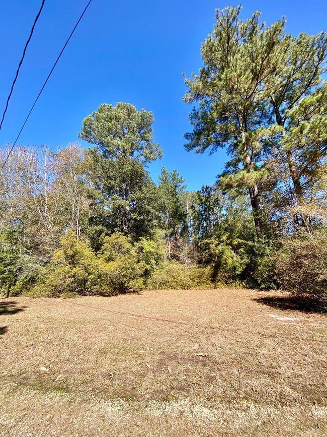 174 Lake David Drive, House other with 3 bedrooms, 2 bathrooms and 2 parking in Picayune MS | Image 16