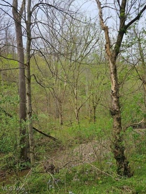 1247 Rocky Branch Road, Looneyville, WV, 25259 | Card Image