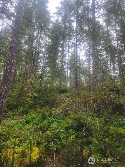 1 Gd 2048 Rd, Union, WA, 98592 | Card Image