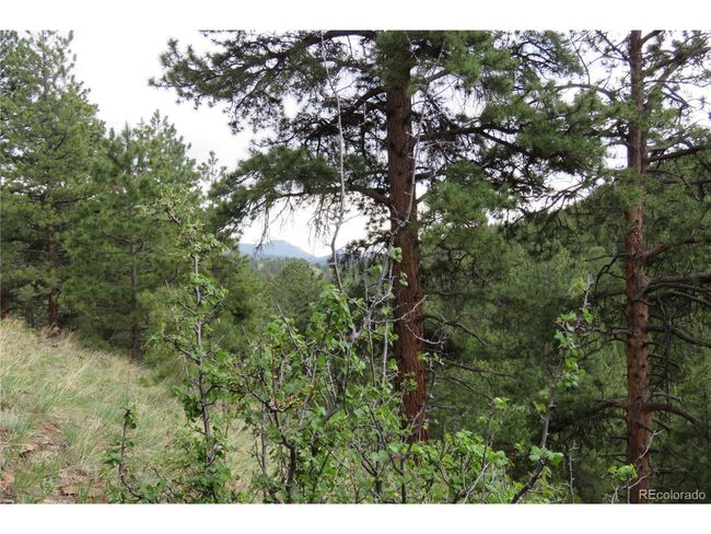 0 Come And See Mine, Home with 0 bedrooms, 0 bathrooms and null parking in Central City CO | Image 28
