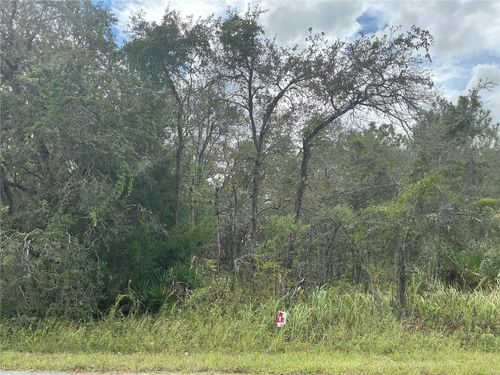 11434 Poorwill Ave, Brooksville, FL, 34614-3223 | Card Image