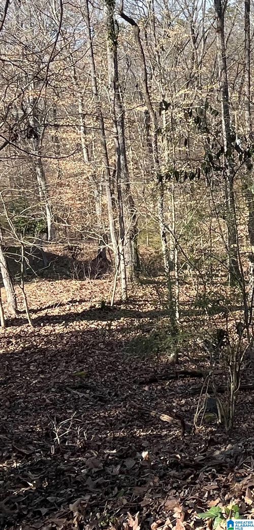 lot-20-2416 Burgundy Dr, BIRMINGHAM, AL, 35244-2419 | Card Image