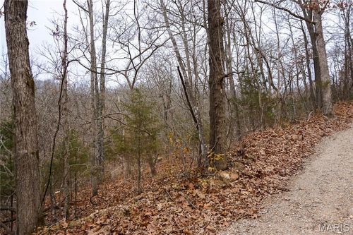 Tract D Holiday Lane, Dixon, MO, 65459 | Card Image