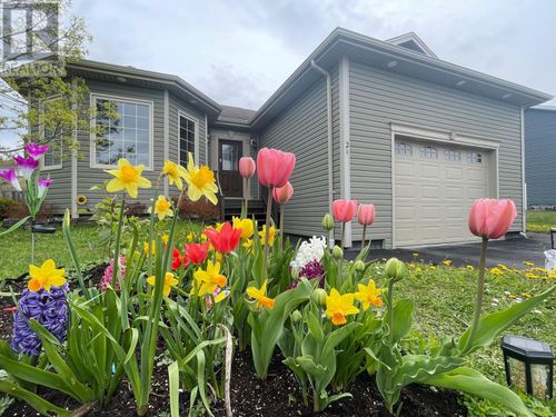 21 Rowsell St, Corner Brook, NL, A2H7N7 | Card Image