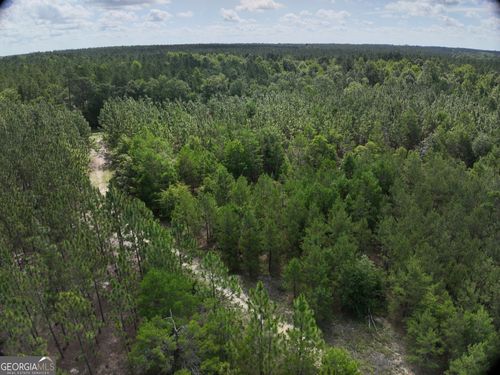 0 Drew Bennett Rd, Midville, GA, 30441 | Card Image