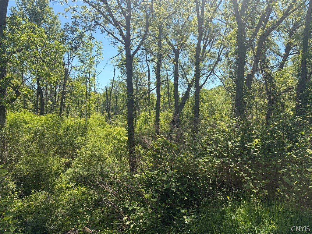 Land in Onondaga 4