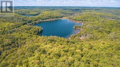 2368 Essonville Line, Wilberforce, ON, K0L | Card Image