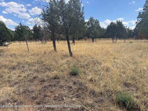 1406 High Mesa Rd, Alto, NM, 88312-8000 | Card Image