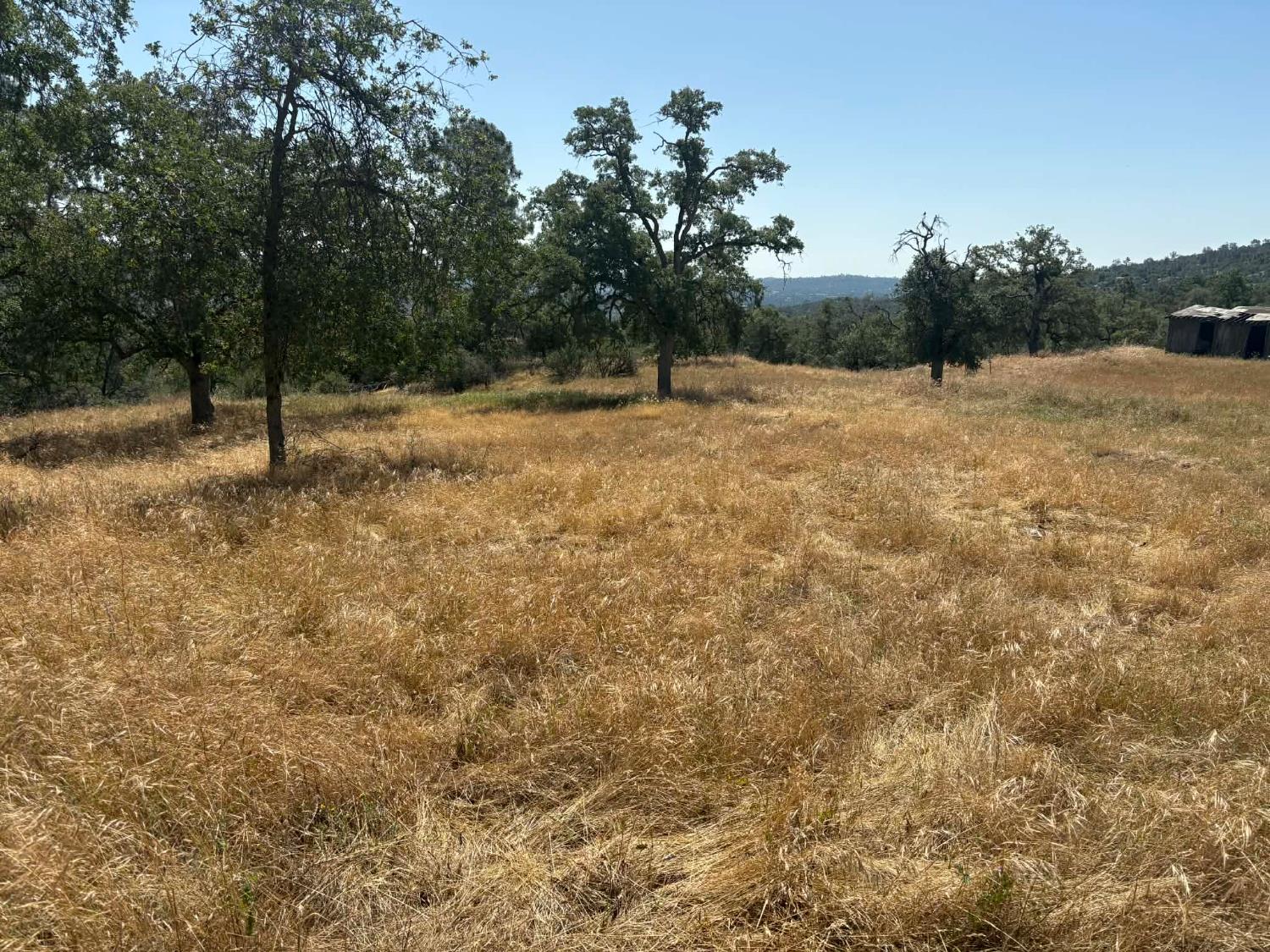 Land in Coarsegold 2
