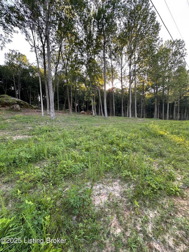 5 Cave Creek Rd, Home with 0 bedrooms, 0 bathrooms and null parking in Falls Of Rough KY | Image 14