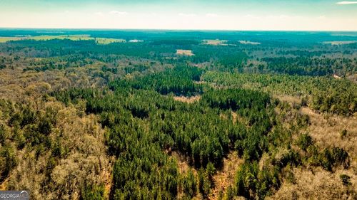 0 Harriett Miller Rd, Millen, GA, 30442 | Card Image