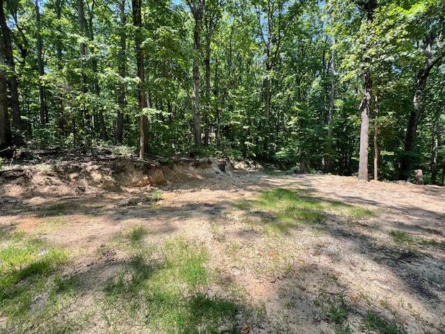 Baggett Rd, Ringgold, GA 30736