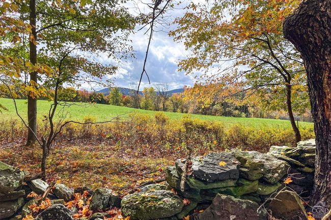 11441184 Hollister Hill Rd, House other with 6 bedrooms, 5 bathrooms and null parking in Delhi NY | Image 94