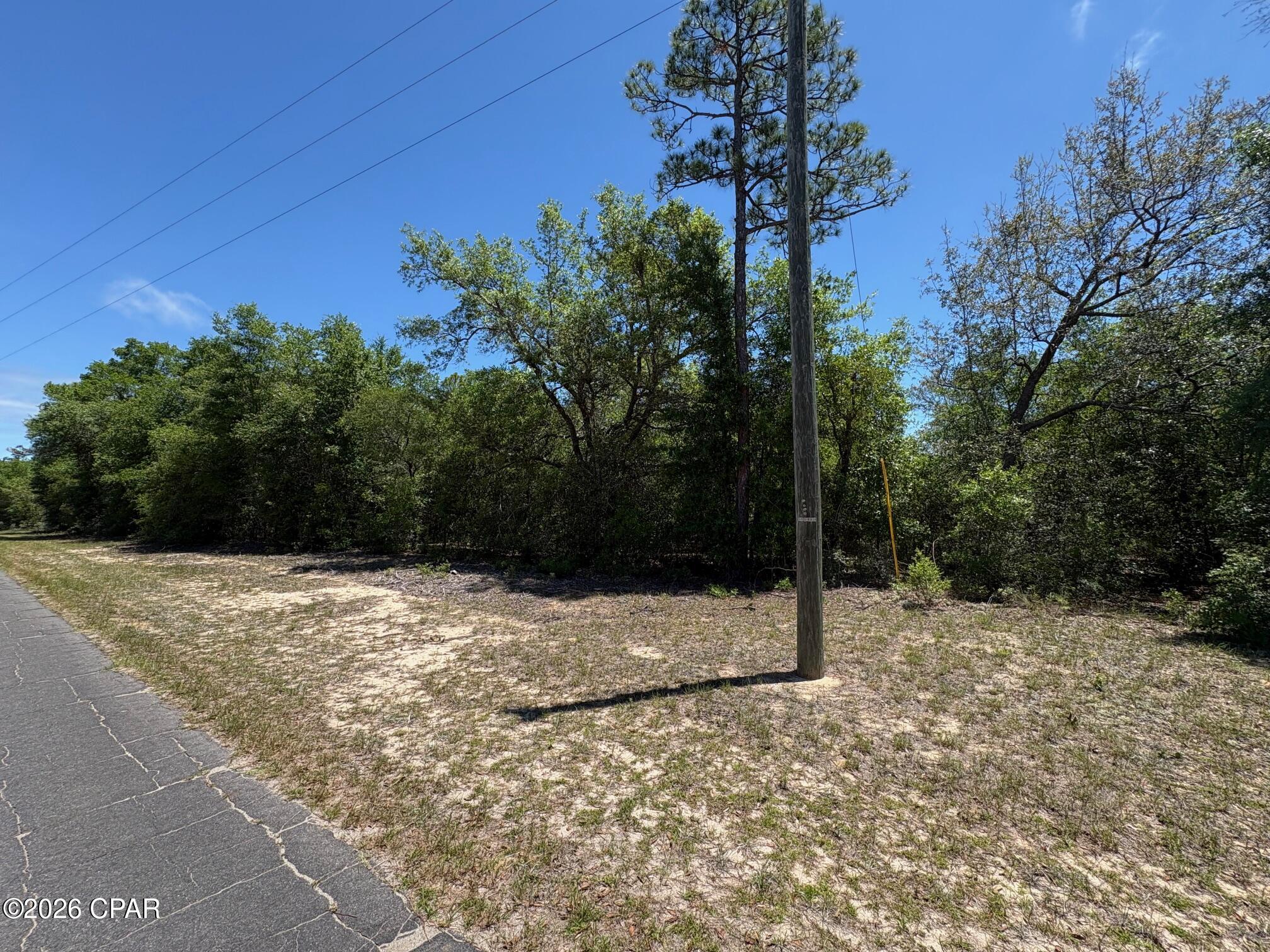 Land in Chipley 3