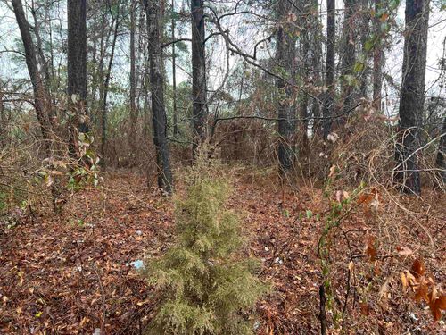 TBD Tejas Cir, Jefferson, TX, 75657 | Card Image