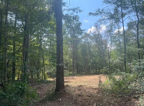 87474 Vineyard Road, Folsom, LA, 70437 | Card Image