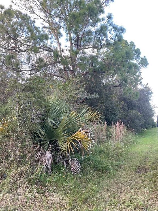 340 S Datil St, Home with 0 bedrooms, 0 bathrooms and null parking in CLEWISTON FL | Image 9