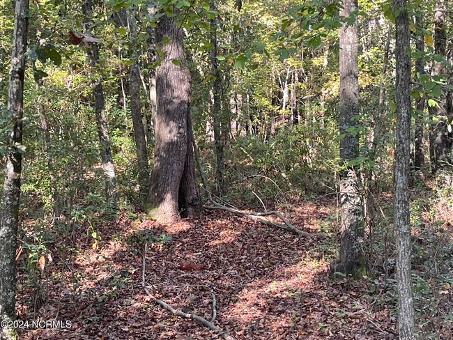 6879 Haynes Lennon Hwy, Home with 0 bedrooms, 0 bathrooms and null parking in Evergreen NC | Image 6