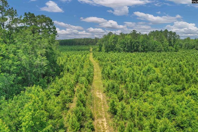 0000 N Brewington Rd, Home with 0 bedrooms, 0 bathrooms and null parking in Manning SC | Image 38