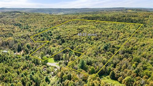 541 Blackman Hill Rd, Berkshire, NY, 13736-2031 | Card Image
