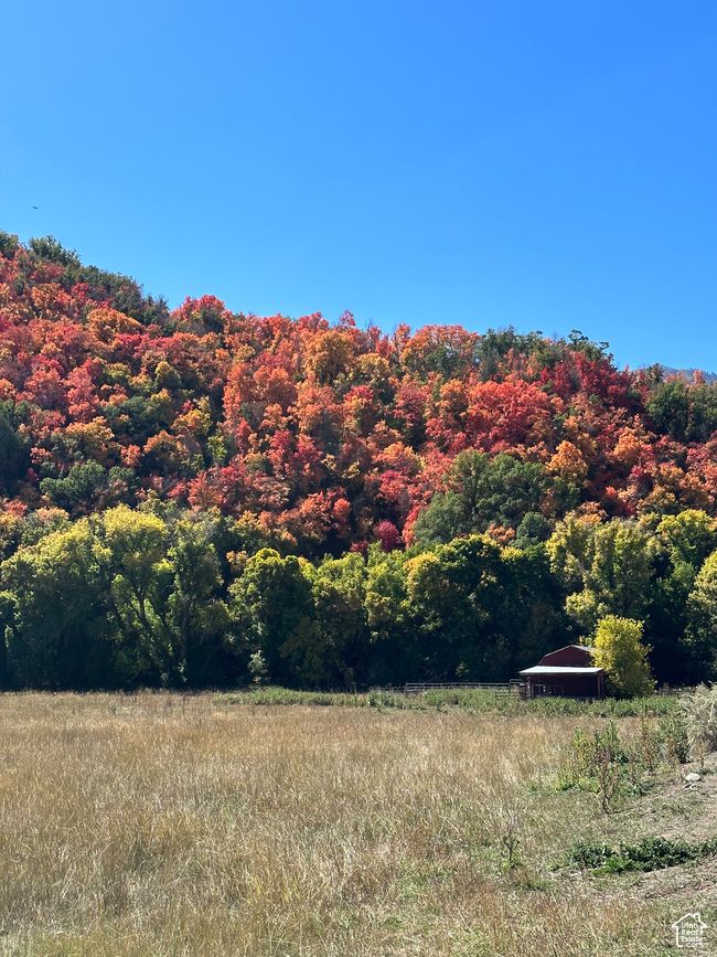 Property view of mountains with a view of trees and a rural view | Image 8