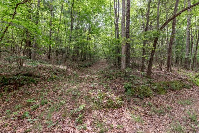 26.18 AC Green Road, Home with 0 bedrooms, 0 bathrooms and null parking in Young Harris GA | Image 19