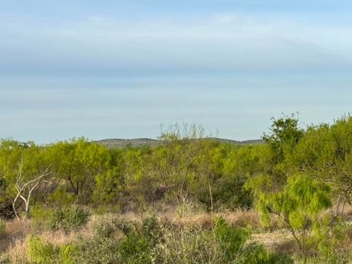9544 W Grape Creek Rd, San Angelo, TX, 76901 | Card Image
