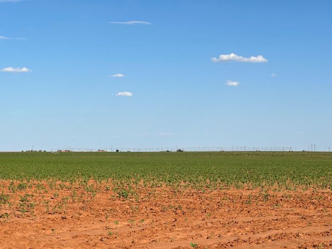 0 Dove, Home with 0 bedrooms, 0 bathrooms and null parking in Ropesville TX | Image 11