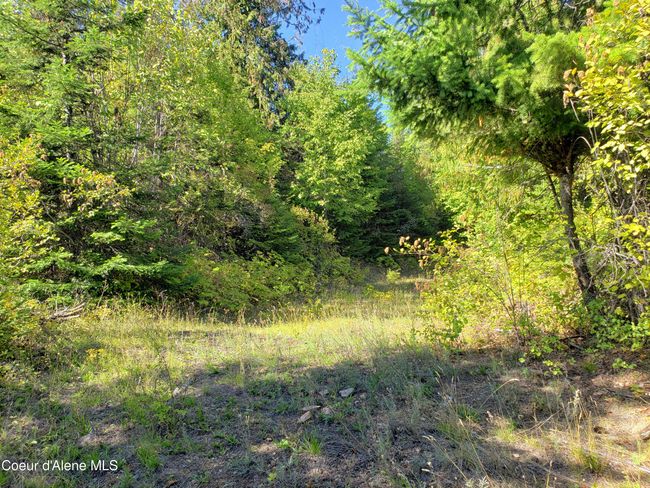18 Majestic Mountain Rd, Home with 0 bedrooms, 0 bathrooms and null parking in Clark Fork ID | Image 39