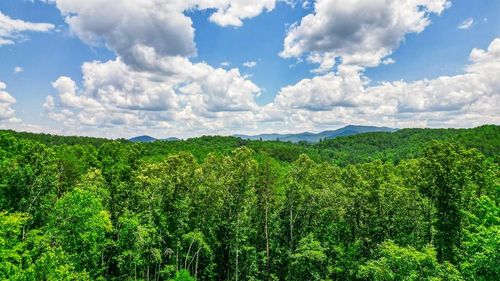 155ac Megan Trace Ln, Turtletown, TN, 37391-4046 | Card Image