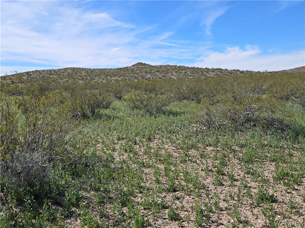 Land in Dolan Springs