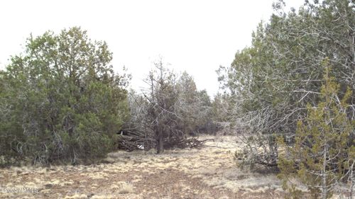 3581 N Knoll Dr, Williams, AZ, 86046 | Card Image
