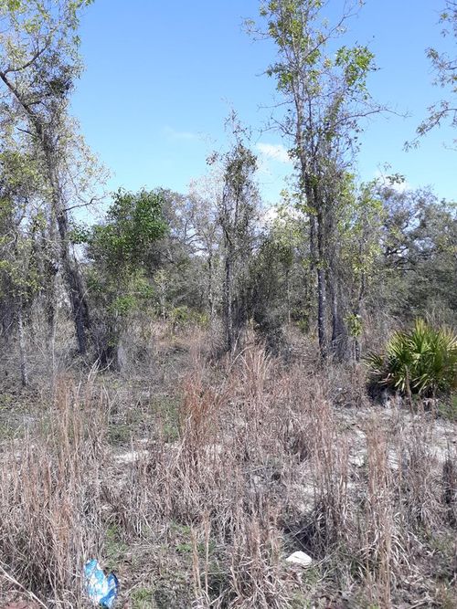 Lot 20 Ne 62nd St, WILLISTON, FL, 32696 | Card Image