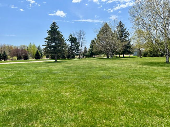 Beautiful Lawn & Trees | Image 38