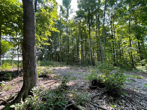 17.3-ACRES N Marsh Road, Paradise Township, MI, 49649 | Card Image