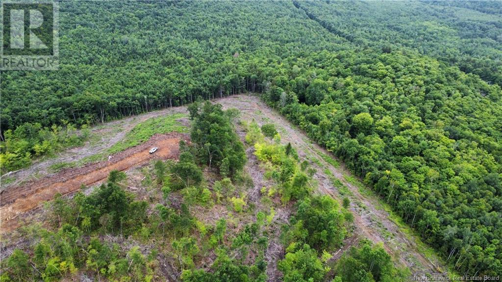 Land in Central Hainesville 5