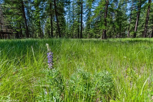 337 Forest Loop, Home with 0 bedrooms, 0 bathrooms and null parking in Eureka MT | Image 6