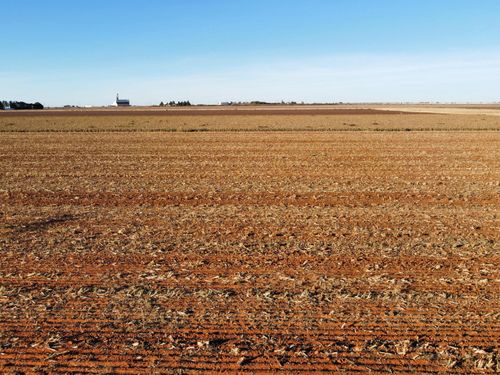 6663 Tiger Rd, Ropesville, TX, 79358-5403 | Card Image