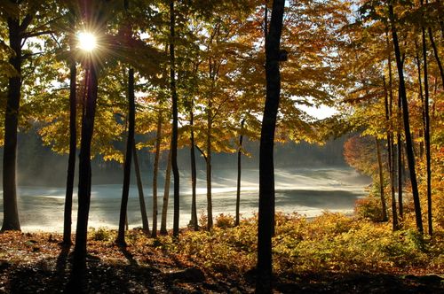 170 High Point Drive, Frye Island, ME, 04071 | Card Image